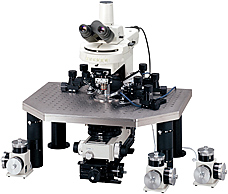 電生理專用顯微鏡